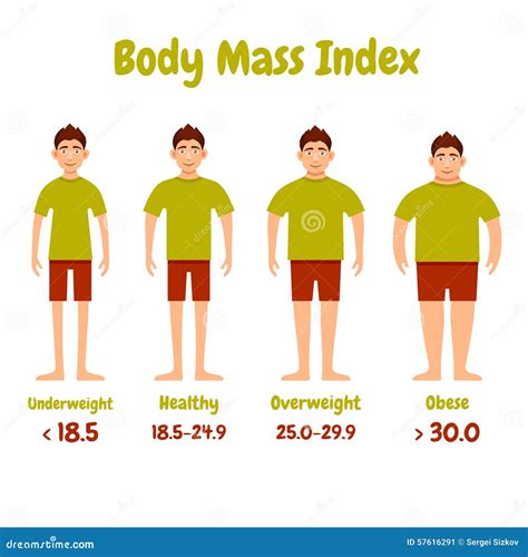 Body Mass Index Men Poster Stock Vector Illustration Of Silhouette