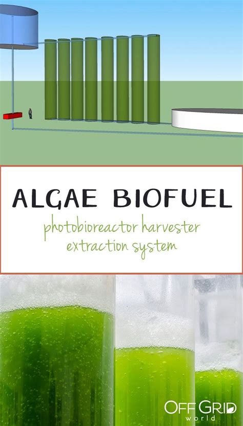 Algae Biofuel A Concept For A Photobioreactor Harvester Extraction