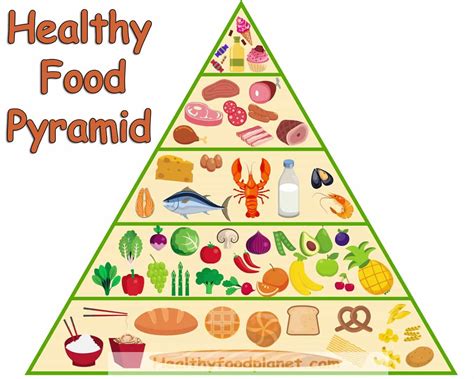 Food Pyramid 5 Food Groups Images And Photos Finder