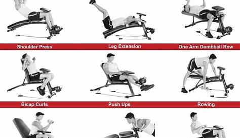 Bench workout | Adjustable weight bench, Weight benches, Bench workout