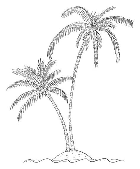 Small Tropical Island Palm Tree Drawing Illustrations Royalty Free