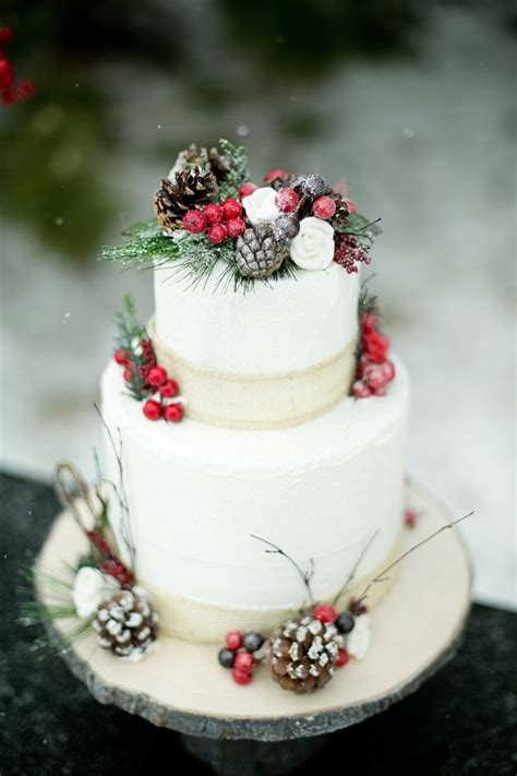 23 Obscenely Beautiful Winter Wedding Cakes Christmas Wedding Cakes