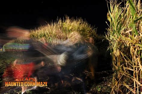 Looking For A Scary Corn Maze 13 Best Haunted Corn Mazes In The Usa