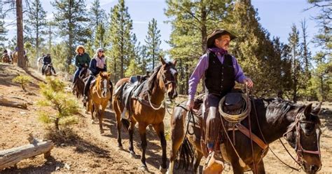 Bryce Canyon City Horseback Riding Tour In Red Canyon Getyourguide