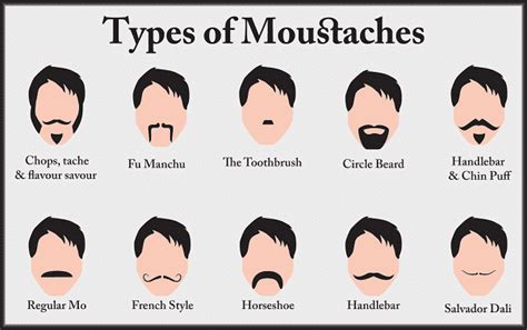 The How To Guide To Growing Your Moustache For Movember