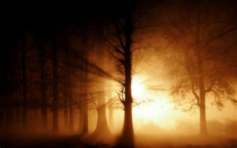 Foggy Forest Wallpaper Beautiful Landscapes Wallpaper 37729160 Fanpop