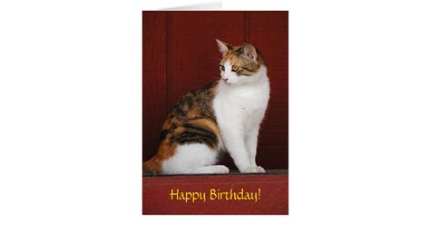 Calico Cat Birthday Card Zazzle