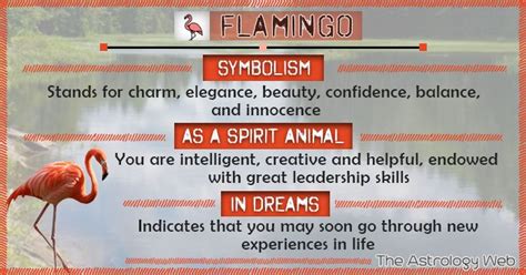Flamingo Meaning And Symbolism The Astrology Web Spirit Animal