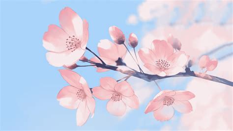 Fondos De Pantalla Flower Sakura Rosado 1920x1080 Jakezfull