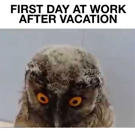 Discover the magic of the internet at imgur, a community powered entertainment destination. Quotes about Work after vacation (19 quotes)