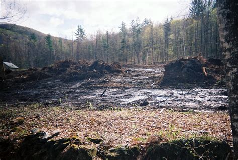Forest Management And Land Clearing