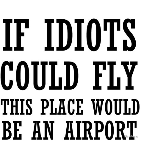 If Idiots Could Fly This Place Would Be An Airport By Divertions