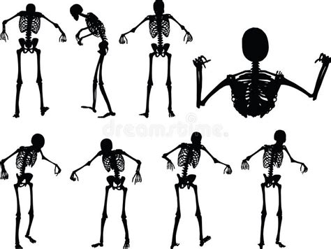Imagem Do Vetor Silhueta De Esqueleto Na Pose Estando No Fundo Branco