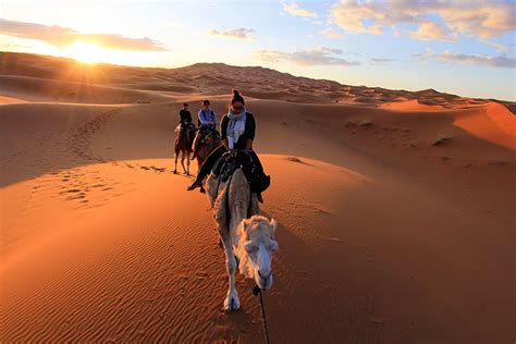 Arabian Nights Camel Trekking Into The Desert The Wanderlusters