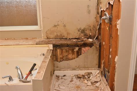 While entertaining for the home owner. Mold Remediation - Loudoun Roofing Contractor