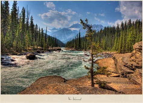 Mistaya River In Banff National Park