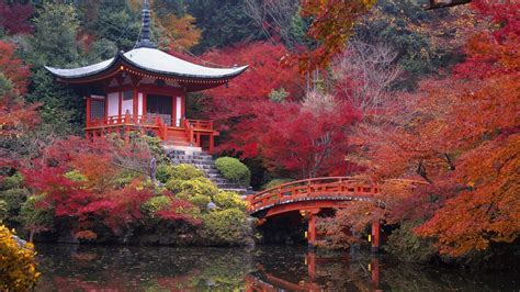 🥇 Japan Autumn Garden Bridges Kyoto Lakes Maple Wallpaper 81471