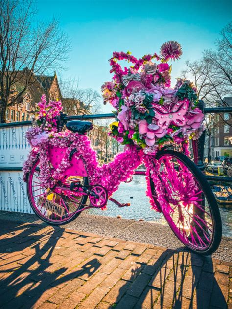 Amsterdams Blossoming Bikes Keep Popping Up And Were Obsessed