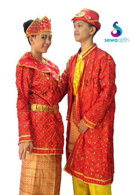 Pakaian Adat Sumatera Selatan Palembang