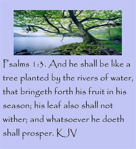 Psalm 1 Bible Verse Book Alizzahaife