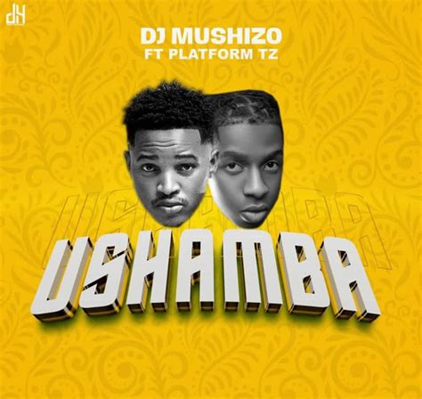 Audio Dj Mushizo Ft Platform Ushamba Mp3 Download Ikmzikicom