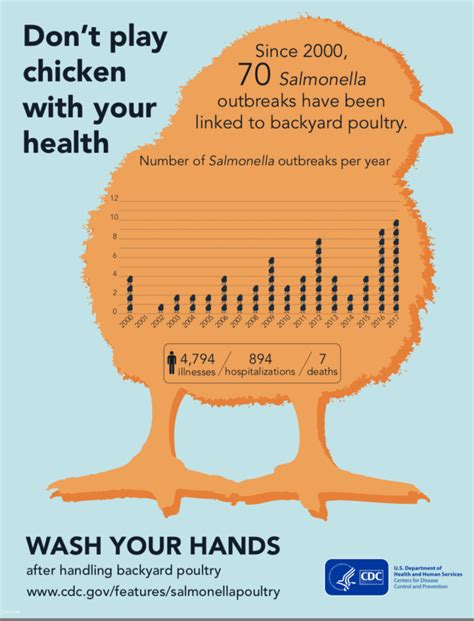 Backyard Poultry Linked To Salmonella Outbreaks Localhealthguide