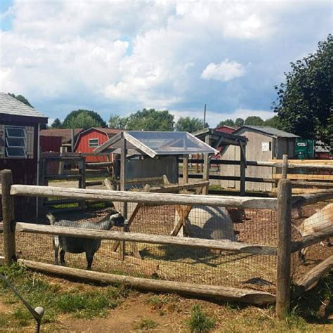 Petting Zoos Now Open Near Jersey City