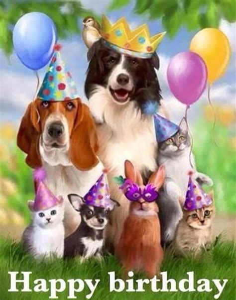 Animal Happy Birthday Graphic Pictures Photos And Images For Facebook