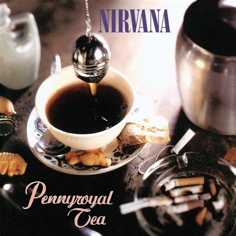 Nirvana Pennyroyal Tea Single Lyrics And Tracklist Genius