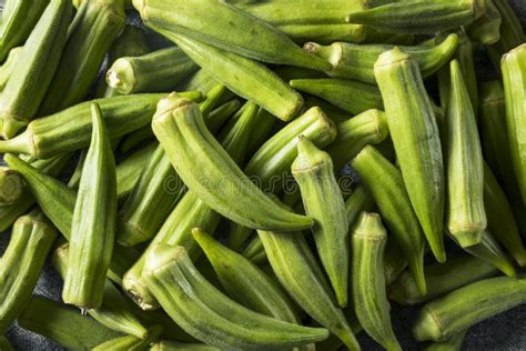 Raw Green Organic Okra Vegetables Stock Image Image Of Food