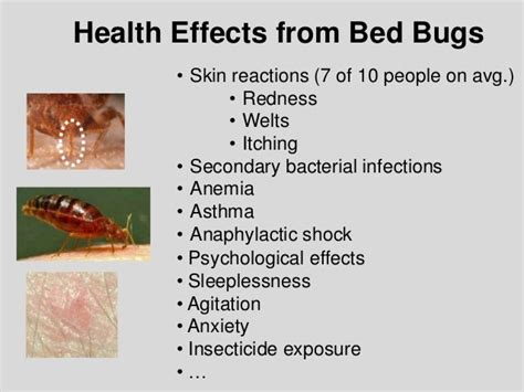 Bed Bug Biology And Research By Dr Susan Jones At Cobbtf Summit 2015