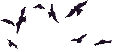 Pngtree offers gambar orang png and vector images, as well as transparant background gambar orang clipart images and psd files. Mentahan Gambar Burung Gagak - artikelkuc