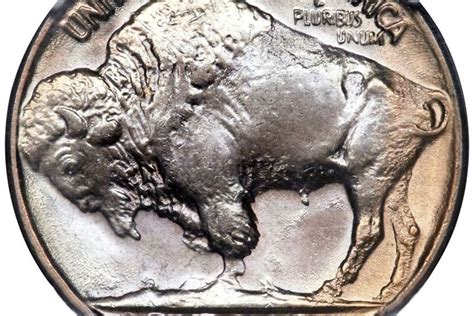 The 8 Most Valuable Buffalo Nickels Old Coins Worth Money Valuable