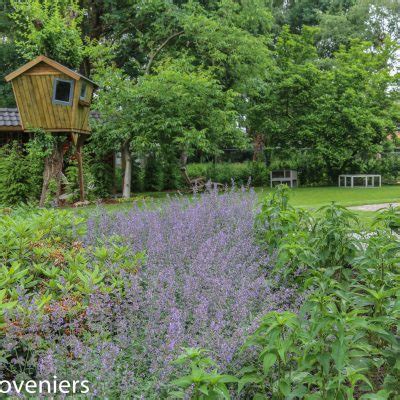 Grote Landelijke Tuin In Bennekom Tuinontwerp Aanleg En Tuinonderhoud