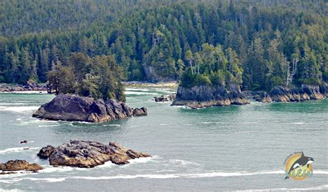 The Ultimate Vancouver Island Bucket List Vancouver