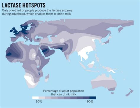 What Are The Most Lactose Intolerant Places In The World Infographic