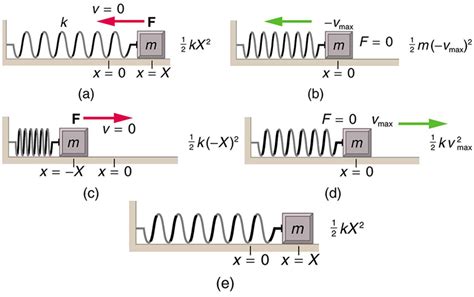 Damped Harmonic Motion Physics