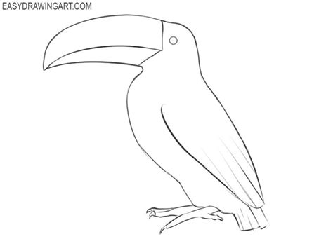 How To Draw A Toucan Easy Drawing Art Drawings Silk Painting