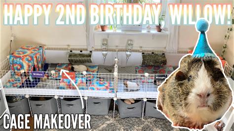 Guinea Pig Cage Makeover Happy Nd Birthday Willow Youtube