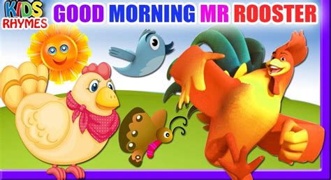 Good Morning Mr Rooster