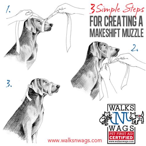 3 Simple Steps To Creating A Makeshift Muzzle Dog Muzzle Muzzle Diy