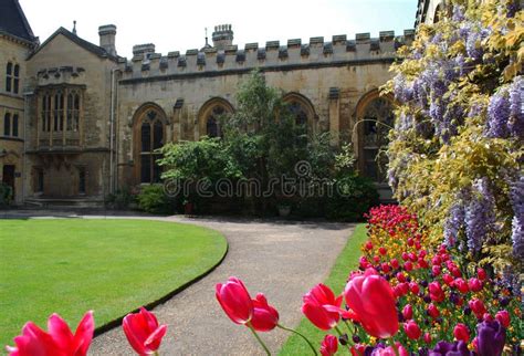 Summer Garden Oxford College Stock Image Image Of Learning Garden