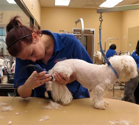 Dogs Luv Us and We Luv Them: Unleash A Fresh Spring Look With #