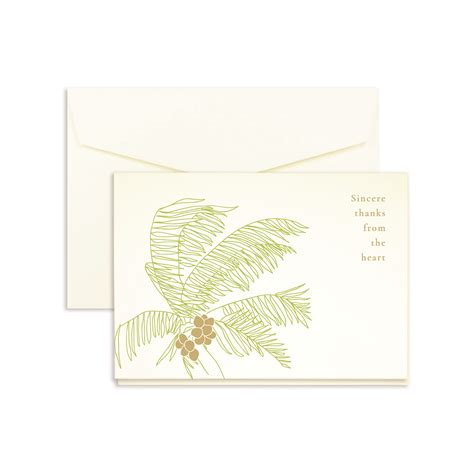A1 Sincere Thankspalm Thank You Note 25pack Marsupial Papers