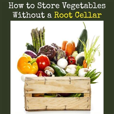 The Way You Store Each Vegetable Will Depend On Its Needs And Its