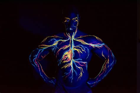 Imagem uv da arte corporal do sistema circulatório no corpo de um homem