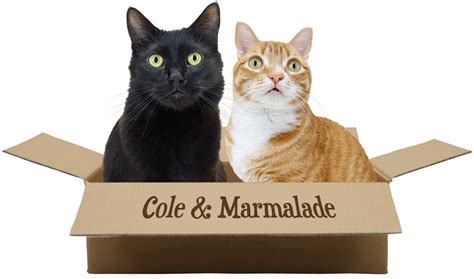 Home Cole And Marmalade
