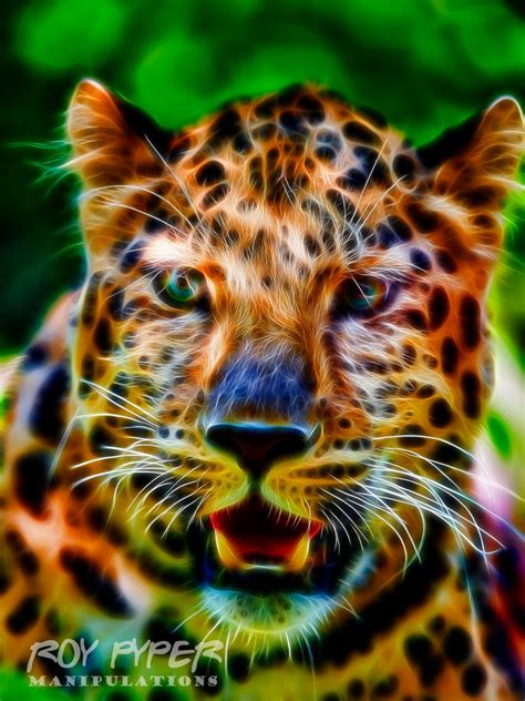 Leopard Fractalius Re Edit Ver3 By Roypyper On Deviantart