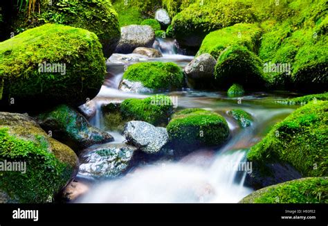 Cascading Waterfall Fresh Nature Green Environment Concept Stock Photo