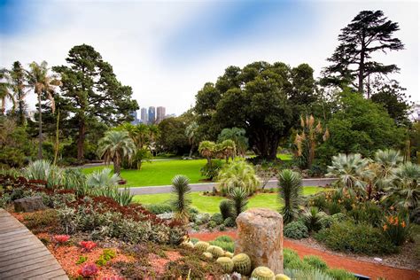 Best Gardens From Australia Iota Designer Planters